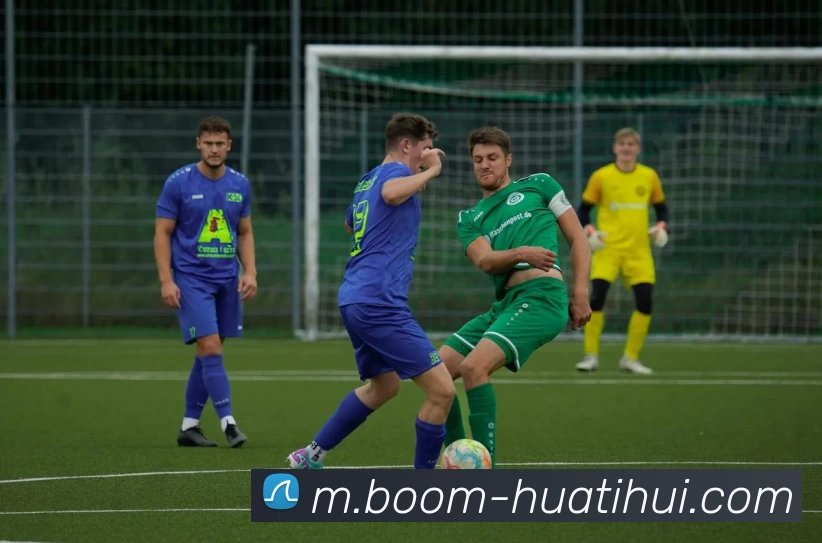 App Interface Preview