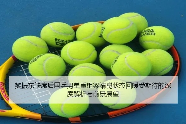 樊振东缺席后国乒男单重组梁靖崑状态回暖受期待的深度解析与前景展望